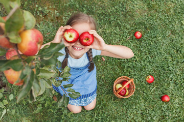 Apples for Children. Apples Eyes Kid. Apple Harvest. Little girl in blue apron put two apples to her eyes on grass background