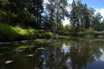 Wooden pier on the river in summer. Wooden pier on the river on a summer evening. View from the river.
