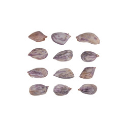 Set boiled peanuts, peeled and seeded on isolated.