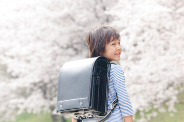 Fototapeta premium ランドセル姿の小学生