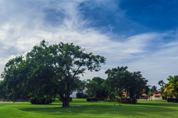 Golf course in Dominican republic. field of grass and coconut palms on Seychelles island.