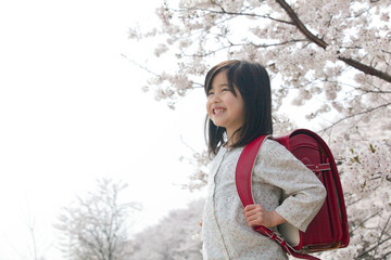 桜と新一年生