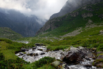 Alpine stream with waterfalls. 
Alpine stream among rocks overgrown with green bushes. Hanging valley of the Koshtansu river. Caucasus.