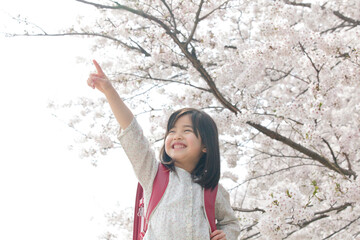 桜と新一年生