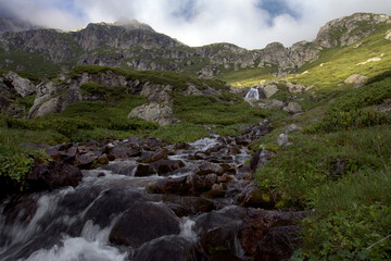 Alpine stream with waterfalls. 
Alpine stream among rocks overgrown with green bushes. Hanging valley of the Koshtansu river. Caucasus.