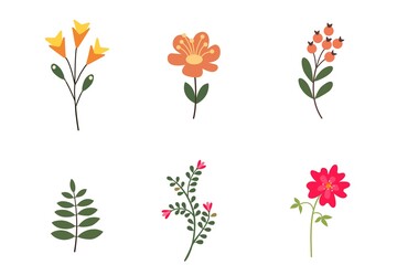 set of flowers on white background.