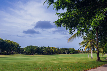 Fototapeta premium Golf course in Dominican republic. field of grass and coconut palms on Seychelles island.