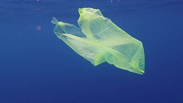Single-use plastic floating in the surface.