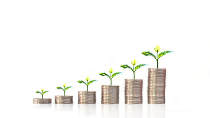 Fototapeta na wymiar Tree growing on coin pile on white background money saving concept business growth.