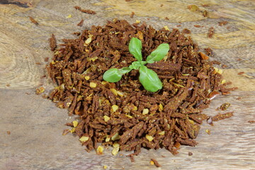 Spicy Chili paste mix with peppers on wooden background. This condiment could be ingredient of harissa, ajika, muhammara or other middle east food