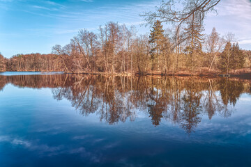 autumn trees are reflected in a calm lake