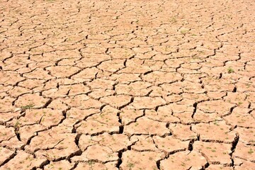 Paisaje con la tierra agrietada debido a la sequía