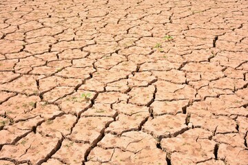 Paisaje con la tierra agrietada debido a la sequía