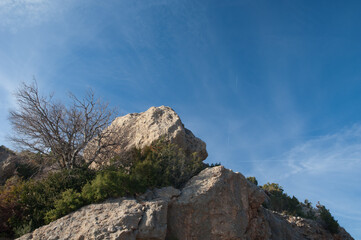 Rocks and tree in the Guara mountains. Huesca. Aragon. Spain.