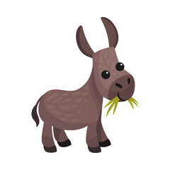 Fototapeta na wymiar Grey Donkey as Farm Animal Chewing Grass Vector Illustration