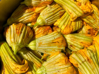 Cooking stuffed zucchini flowers, squash blossom. Turkish delicacy stuffed with rice, tomato, and herbs.