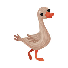 Feathered Goose as Farm Bird Walking in Yard Vector Illustration