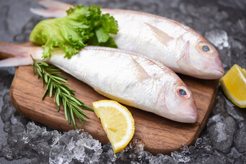Fresh raw fish with ingredients  lemon rosemary and lettuce for making cooked food on ice at market - sea bream seafood fish frozen