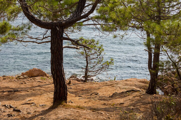 Costa Brava, Catalonia, Spain