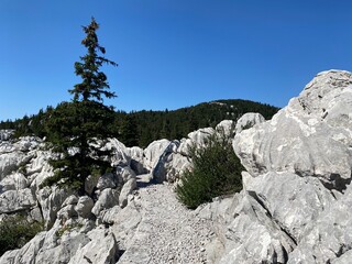 Northern Velebit national park in Croatia landscape