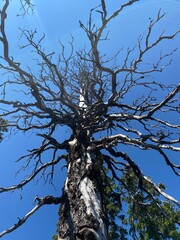 Northern Velebit national park in Croatia landscape