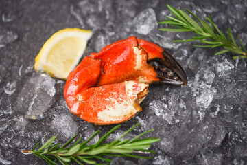 Fototapeta na wymiar Seafood frozen boiled crab claws - Fresh crab with ingredients lemon rosemary on ice at market