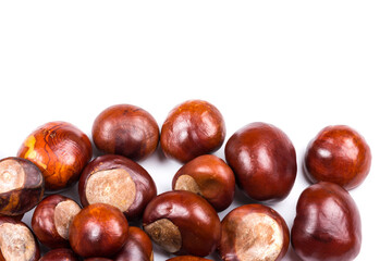Autumn - Fresh chestnut fruits, Castanea, Horse-chestnut (Aesculus hippocastanum), close up