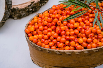 Ripe berries of sea-buckthorn berries