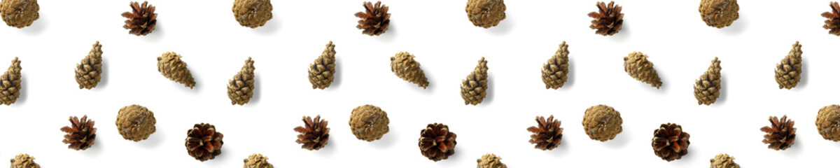 Pine cone Christmas background on white. Pine branches and cones. minimal creative cone arrangement pattern. flat lay, Modern christmas Background.