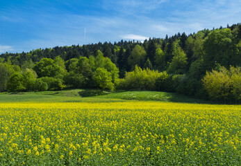 RZepak © KrzysztofAleksander