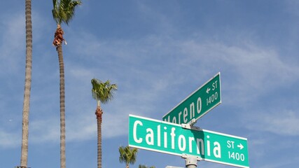 Fototapeta premium California street road sign on crossroad. Lettering on intersection signpost, symbol of summertime travel and vacations. USA tourist destination. Text on nameboard in city near Los Angeles, route 101