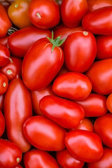 Fresh red tomatoes. Organic vegetables.