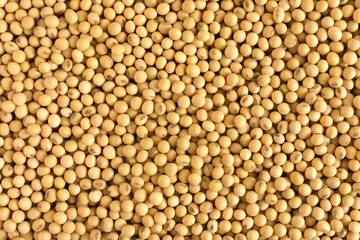 Soybeans background,For vegetarians,Agricultural products for making soy milk,Top view..