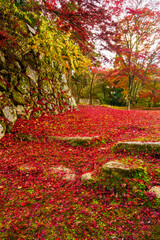 百名城・高取城跡の紅葉