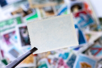 Blank postage stamp in tweezers against blurred background collection of multicolored postage...
