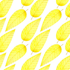 Beautiful watercolor seamless pattern with autumn yellow leaves for your design projects (fabrics,wrapping paper,wallpaper,textiles,bedclothes,gift packaging).On white background.Handdrawn.