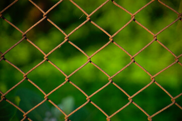 fence netting chain-link in focus on a background of greenery
