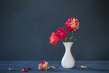roses in vase on dark blue background