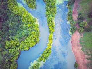 Aerial view of river with trees