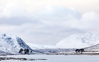 A freezing cold snow landscape near Ullapool in Scotland. The eather was icy and the beauty extraordinary.