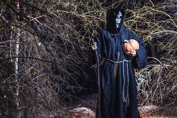 Woman devil ghost demon costume horror and scary she holding pumpkin in hand in the forest. The vampire ghost people, Happy Halloween day concept