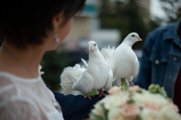 Wedding pigeons. White doves in the hands of the newlyweds