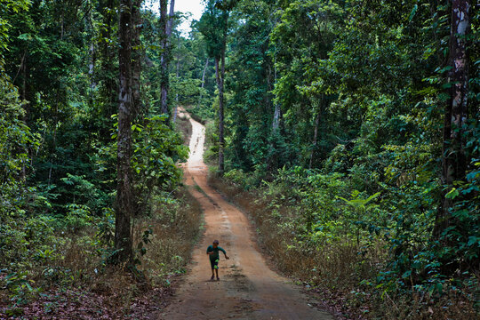 Floresta Amazônica na Comunidade Pontal no sul do Pará.