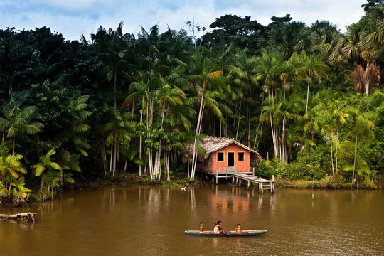 Moradia de ribeirinhos na Ilha do Maraj&oacute;.