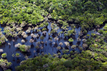 Obraz na płótnie Canvas Vista aérea de igarapé na floresta amazônica