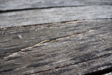 Old wooden board surface texture