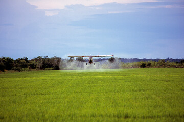Pulveriza&ccedil;&atilde;o a&eacute;rea de inseticida em plantio  de arroz.