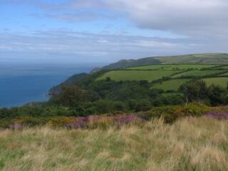Naklejka premium view from the top of the hill