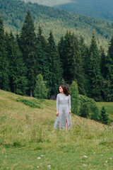 Portrait of a lady in a blue dress standing on a mountain meadow, looking away and posing for the camera. Vertical photo of an attractive woman in a dress standing in the mountains in the grass