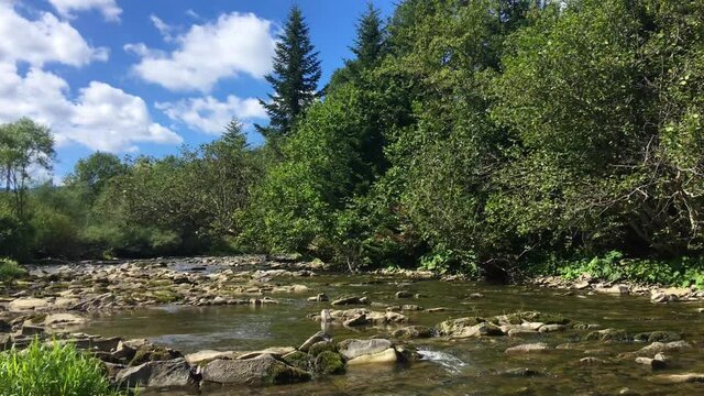 Wolosatka river in ustrzyki gorne bieszczady mountains in Poland